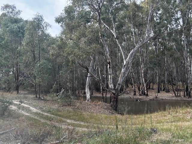 Amaroo On McLays