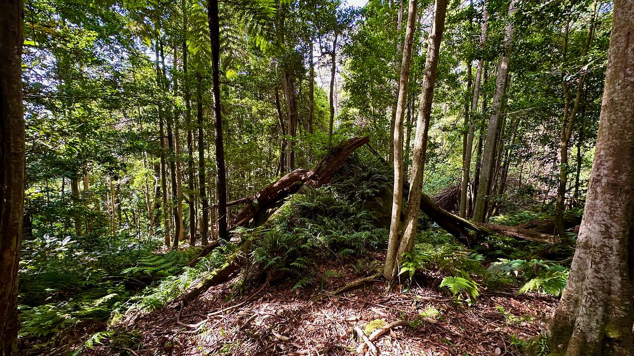 An amazing private campsite is on the other side of this large rock