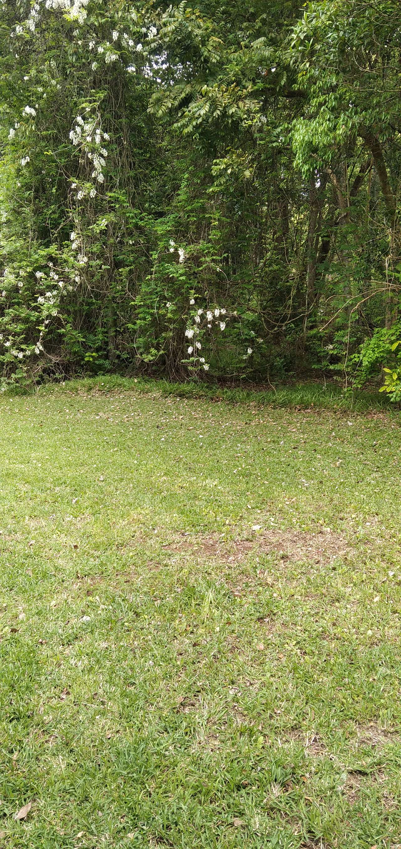 White Wallaby Farm