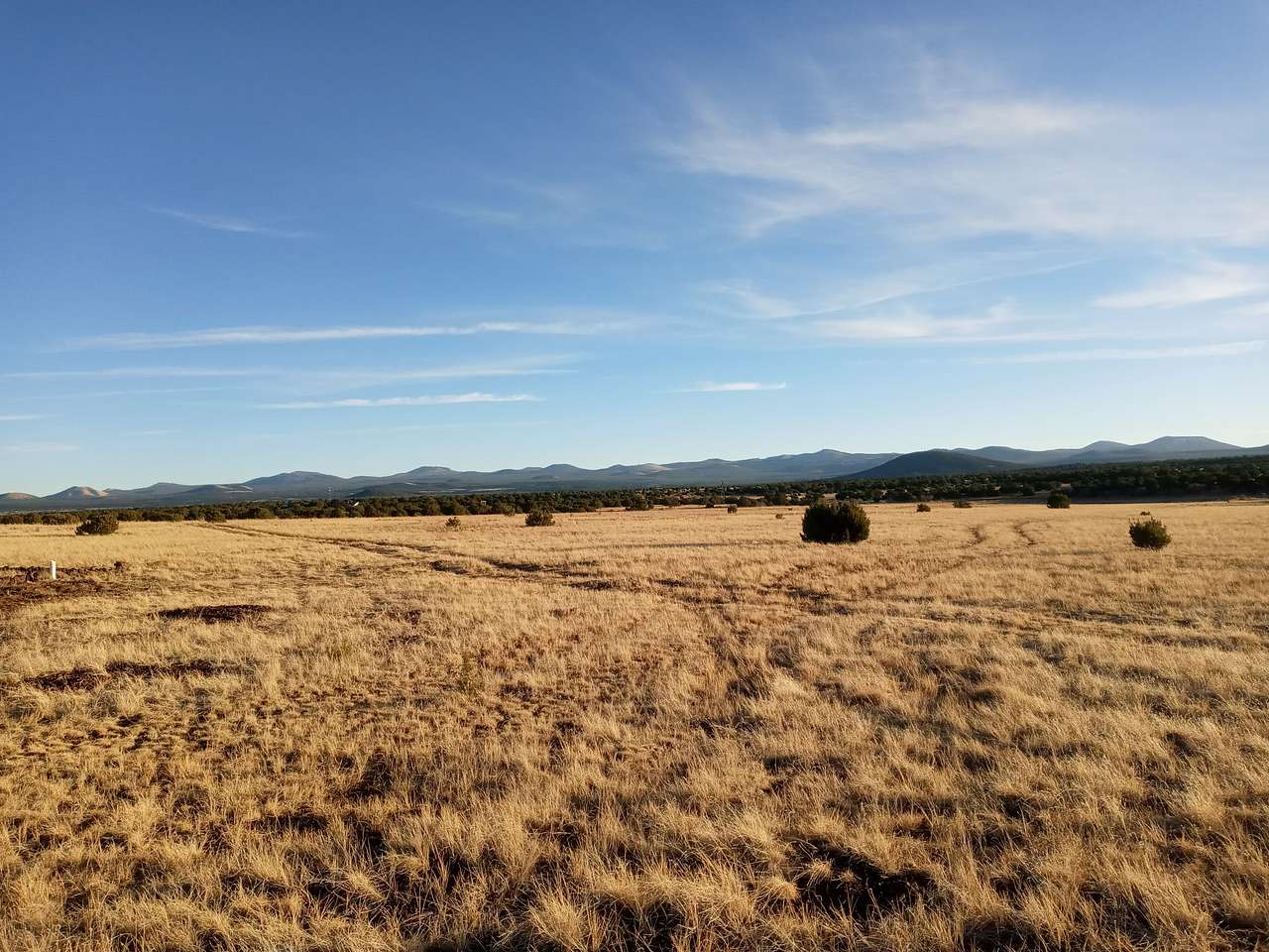 Panorama Farms