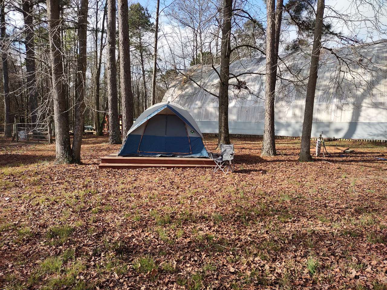 Picture of the site