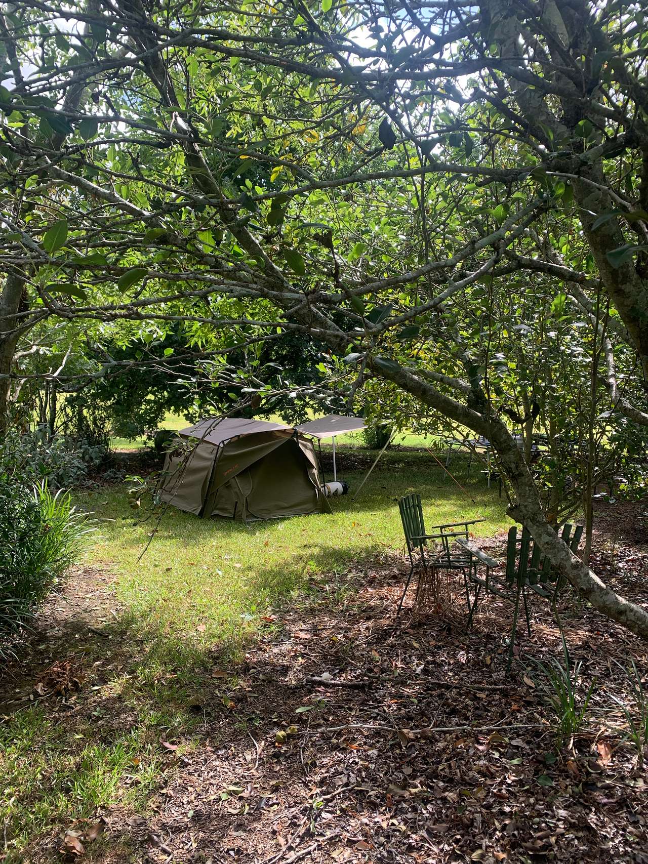 Set up your swag in the shaded clearing here where you often get a gentle easterly breeze.