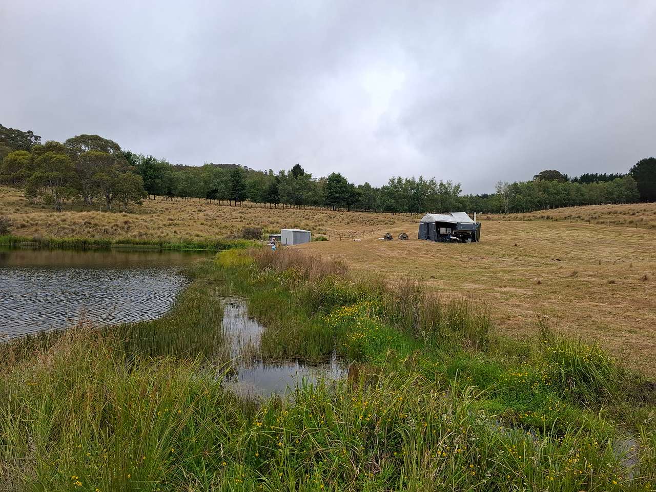 Picture of the site