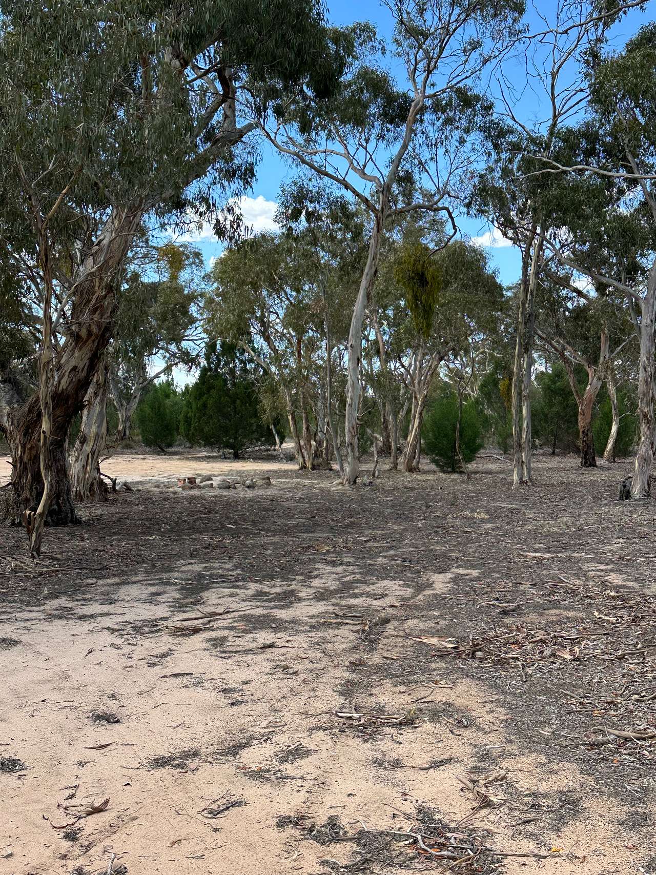 Camp area available