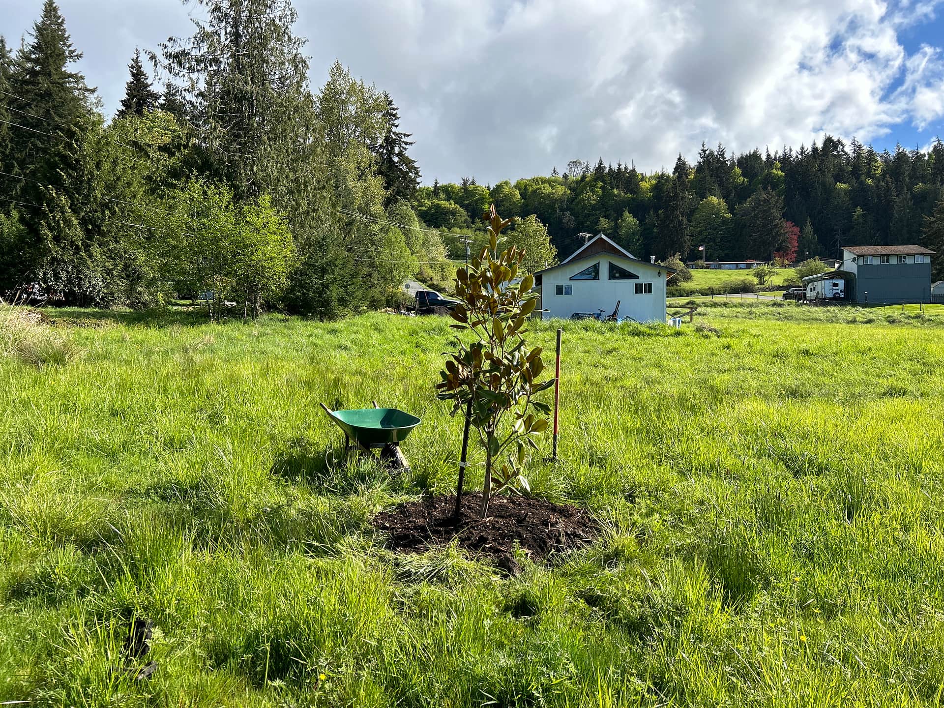 Frog Pond Cottage