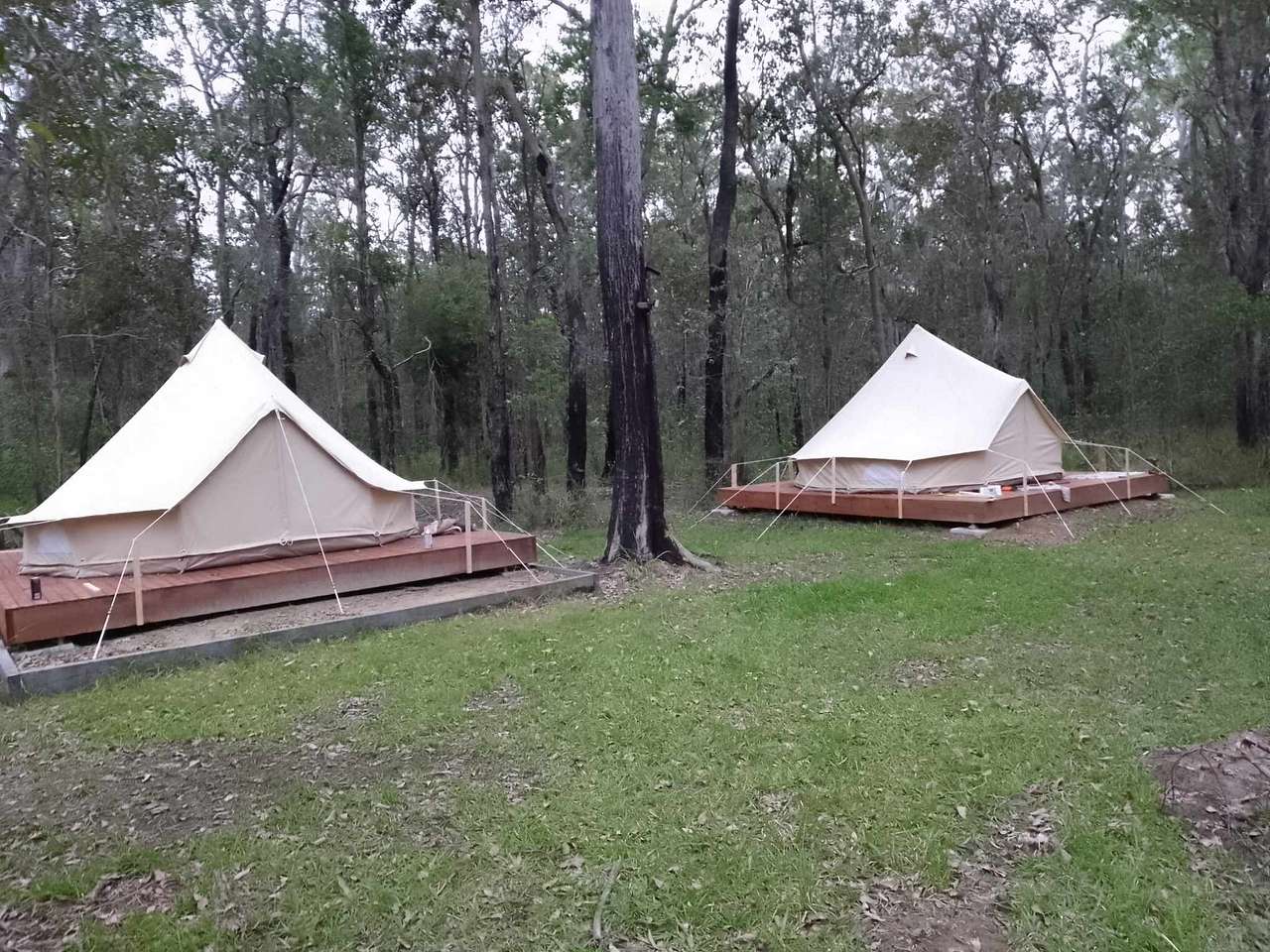 Petaurus Gardens
