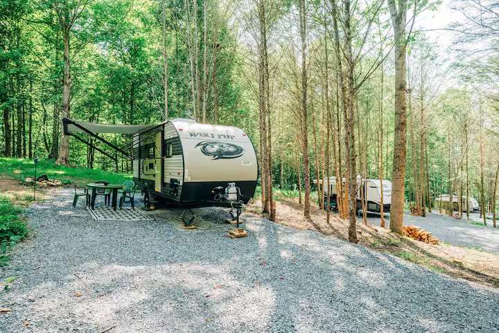Picture of the site