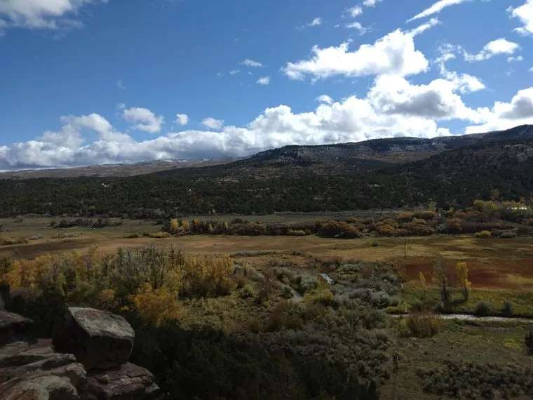 Picture of the site