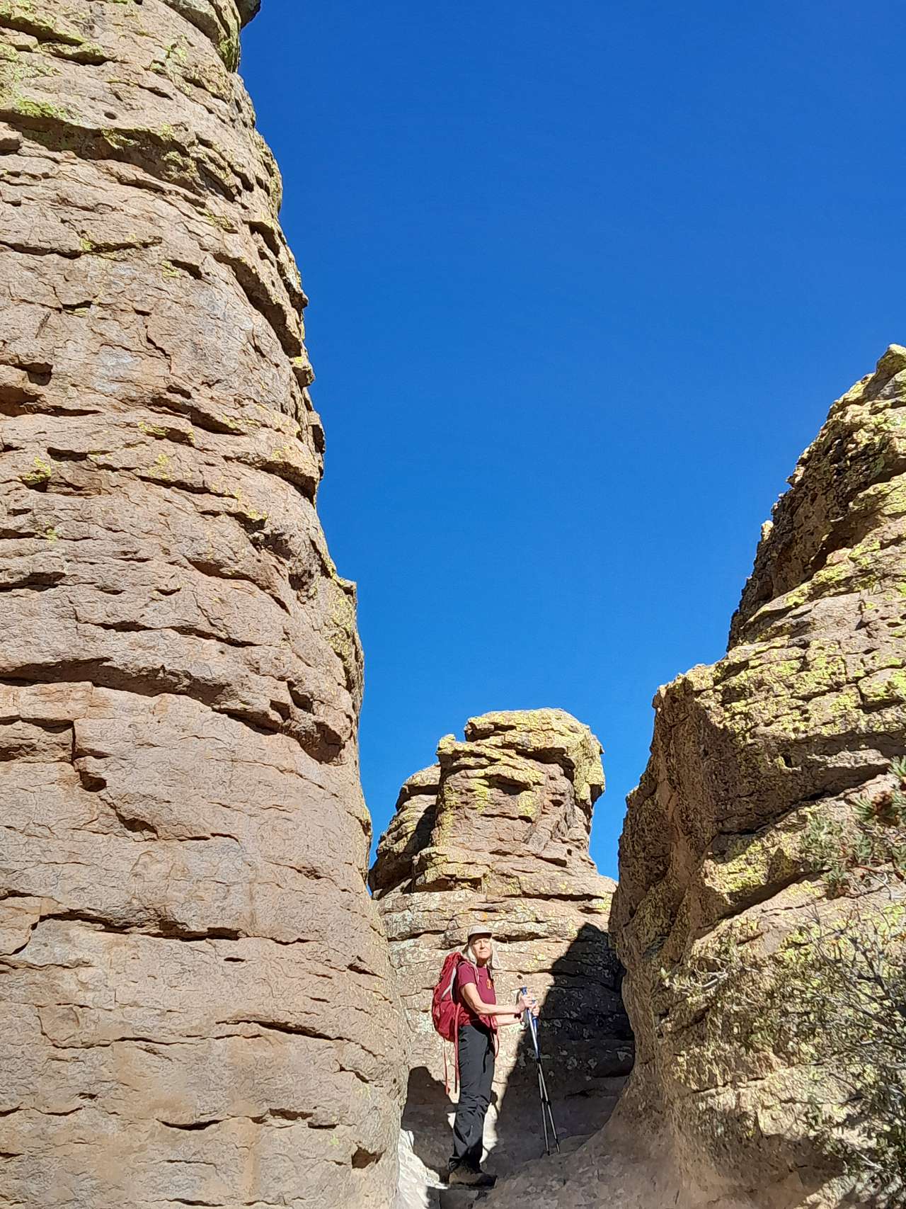 chiricahua n.m.