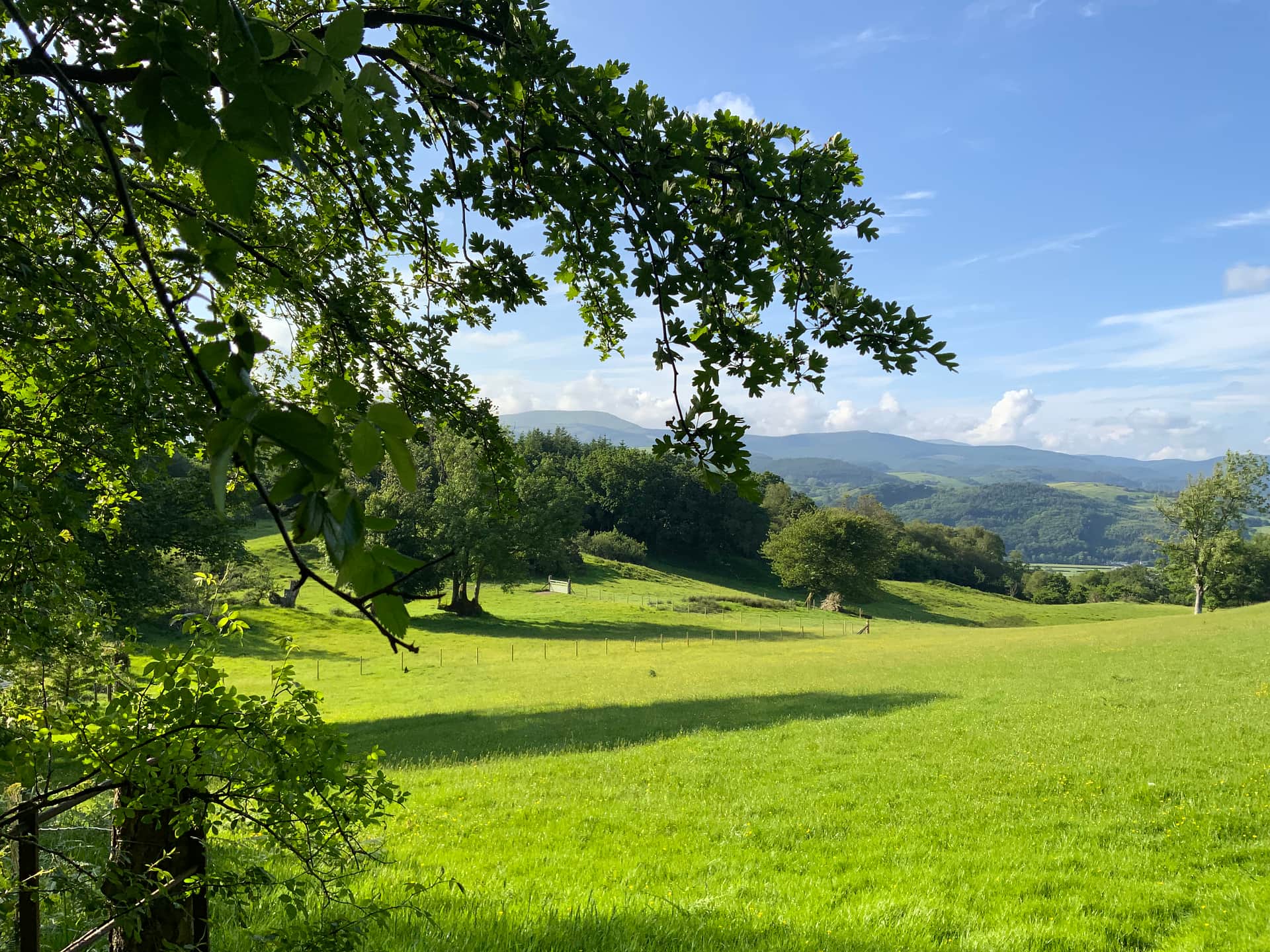 Gwersyllfa Glyndŵr Campsite