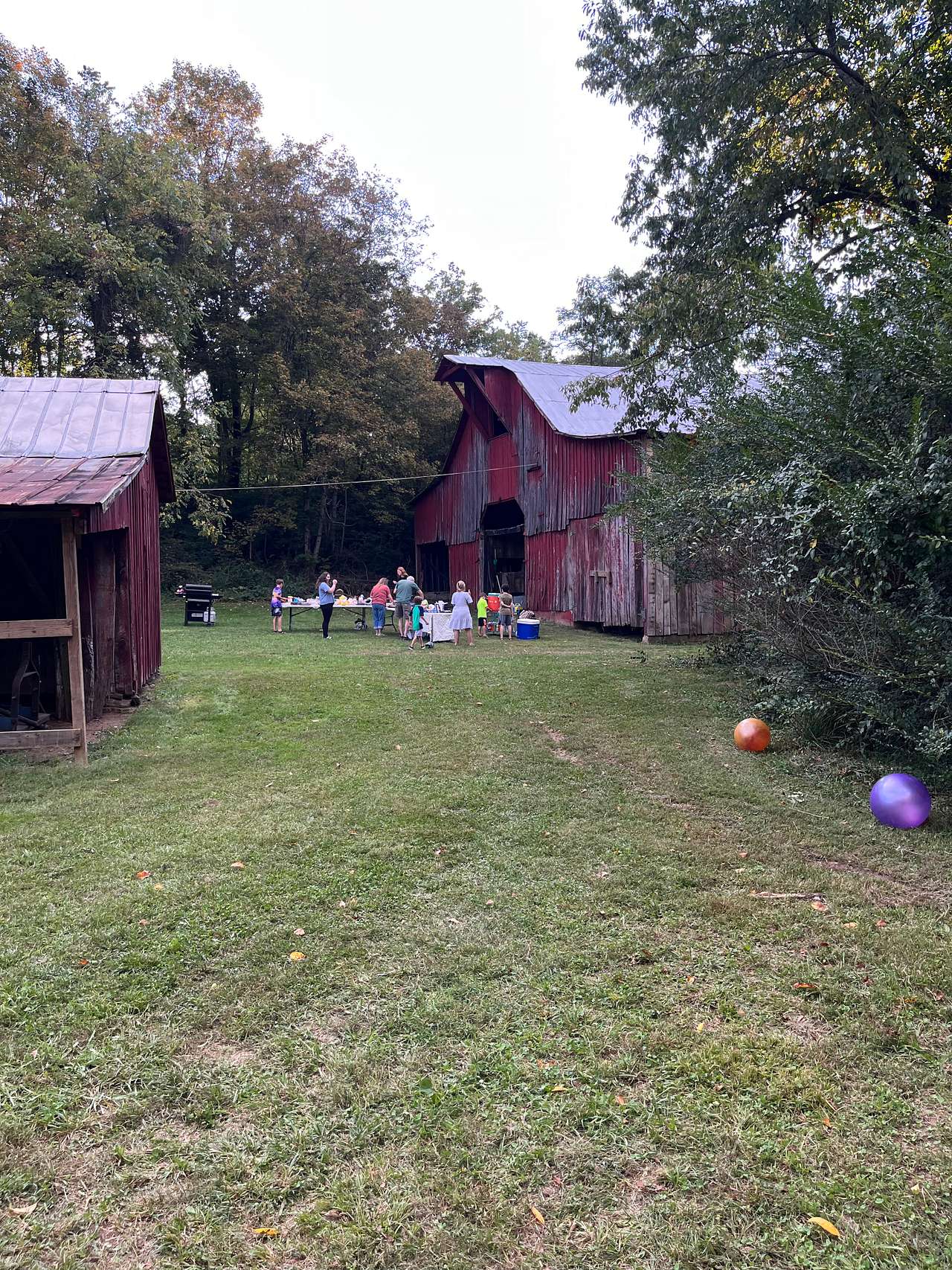 Harvey Family Flower Farm