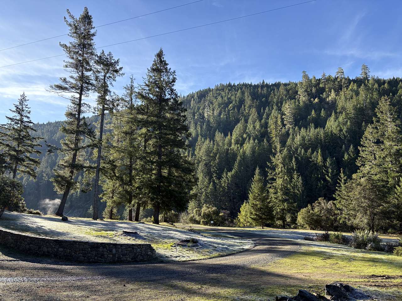 Picture of the site