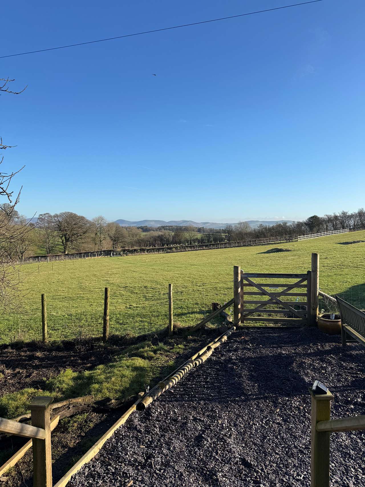 Maes Heddwch/Peaceful Field