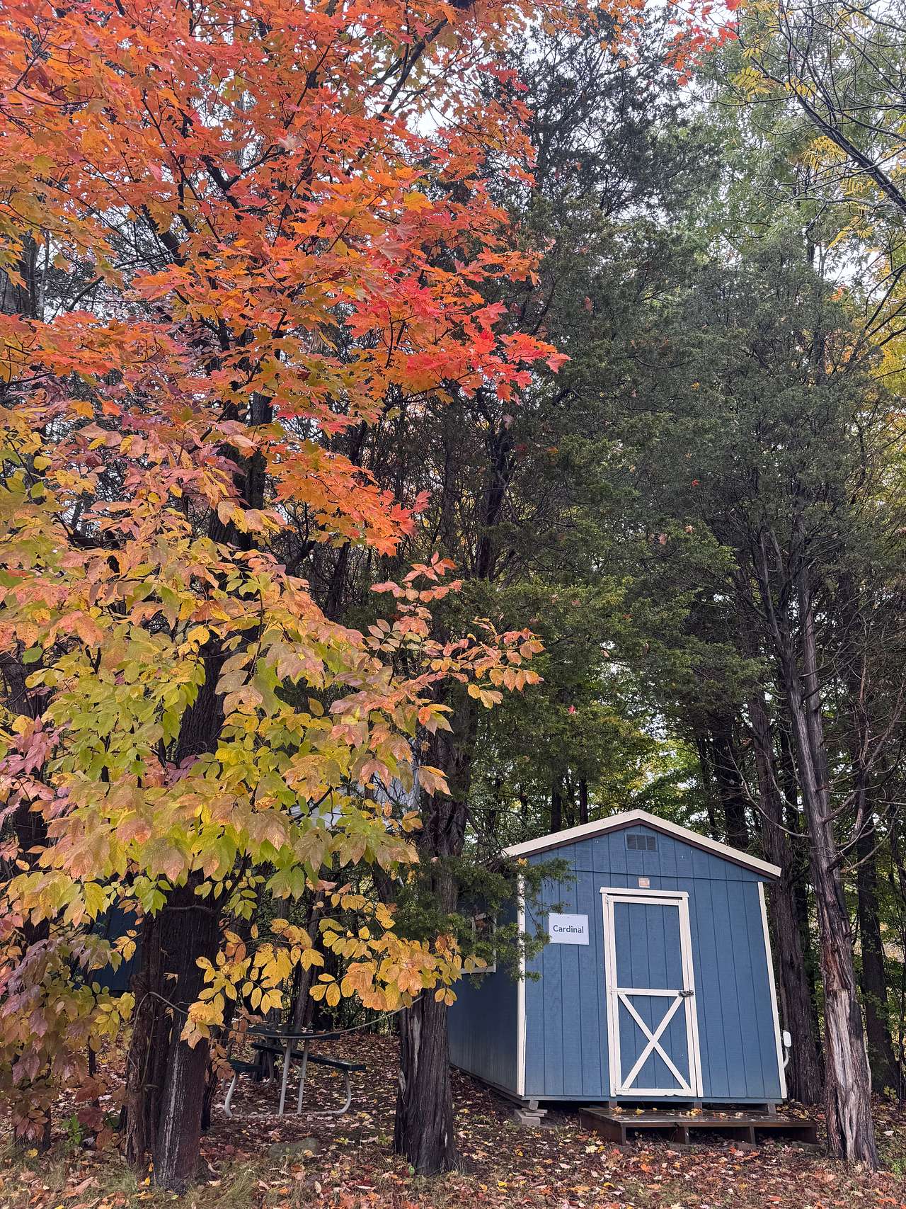 Camp Whitman on Seneca Lake