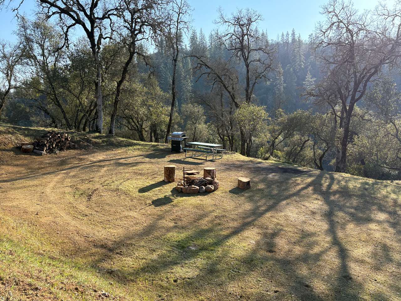 Picture of the site