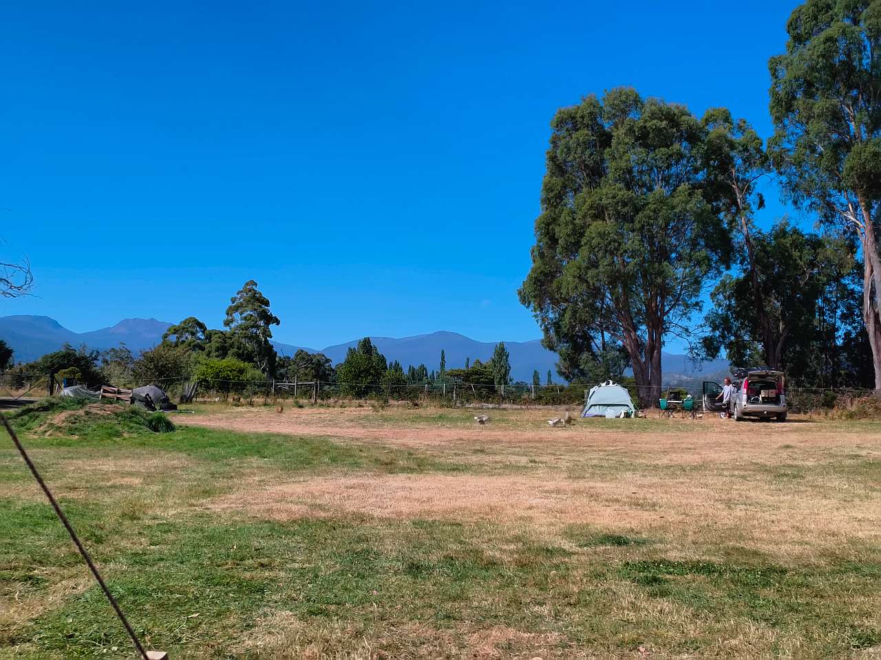 Looking North across the paddock towards the hills 
