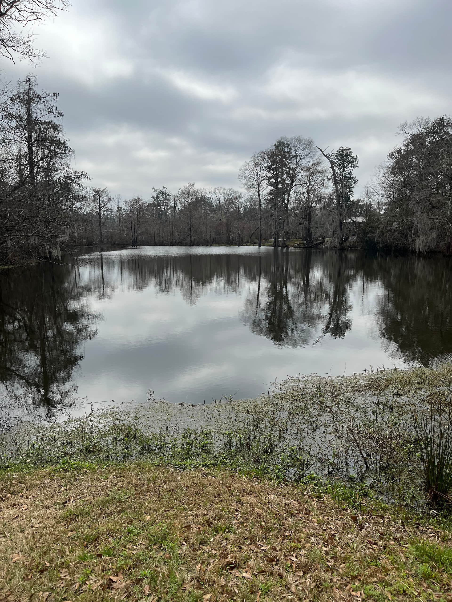 PYRAprotocol.com  Camping the Amite