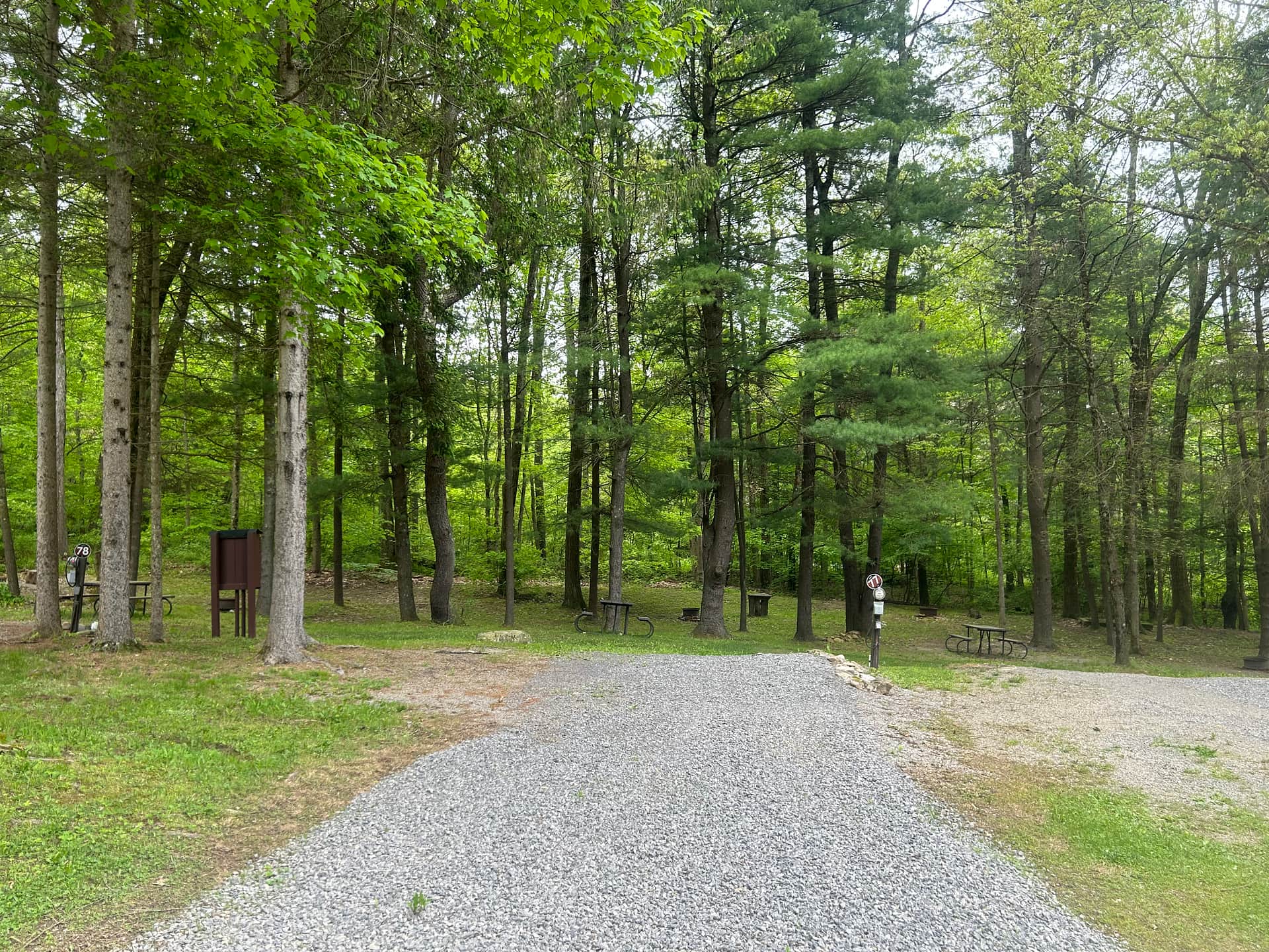 Quiet back-in RV sites with private yards and fire pits — pet-friendly, family-friendly, and close to Rustic Acres’ trails