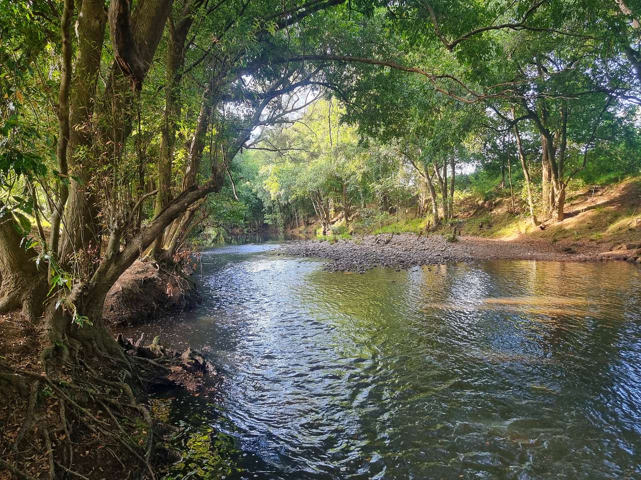 Picture of the site