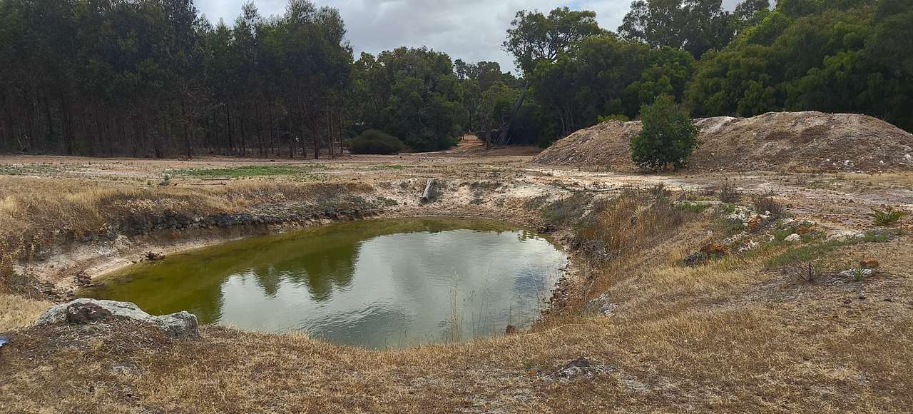 Picture of the site