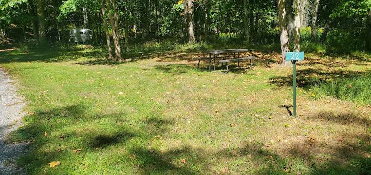 Site #22 9/24