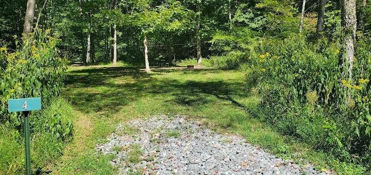 Site #4 9/24