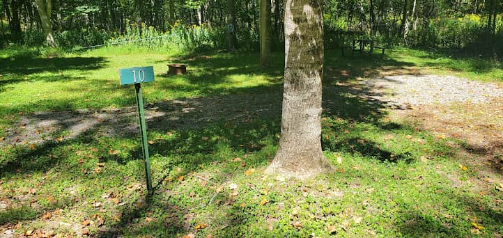 Site #10  9/24