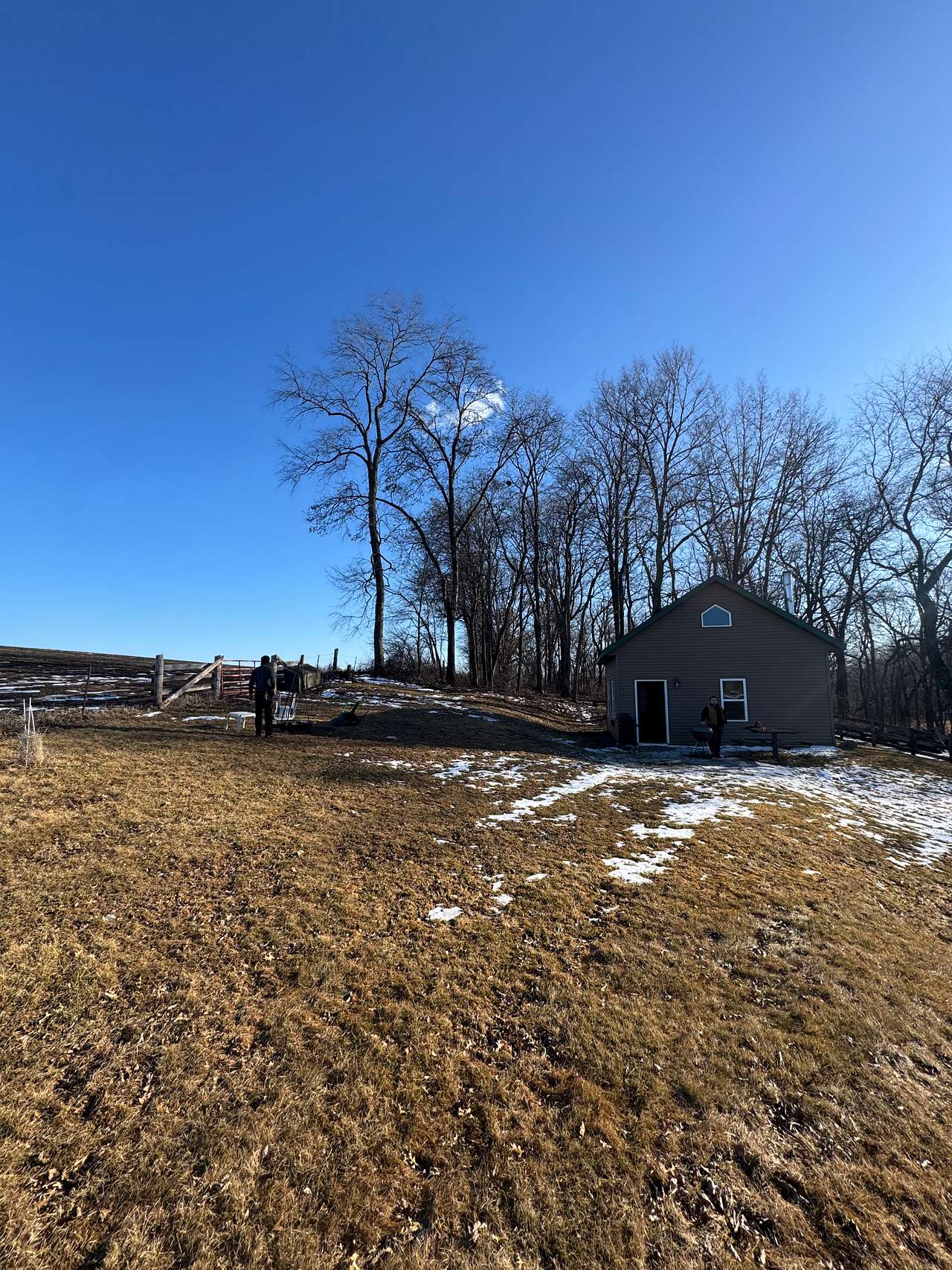 The Heifer Pasture
