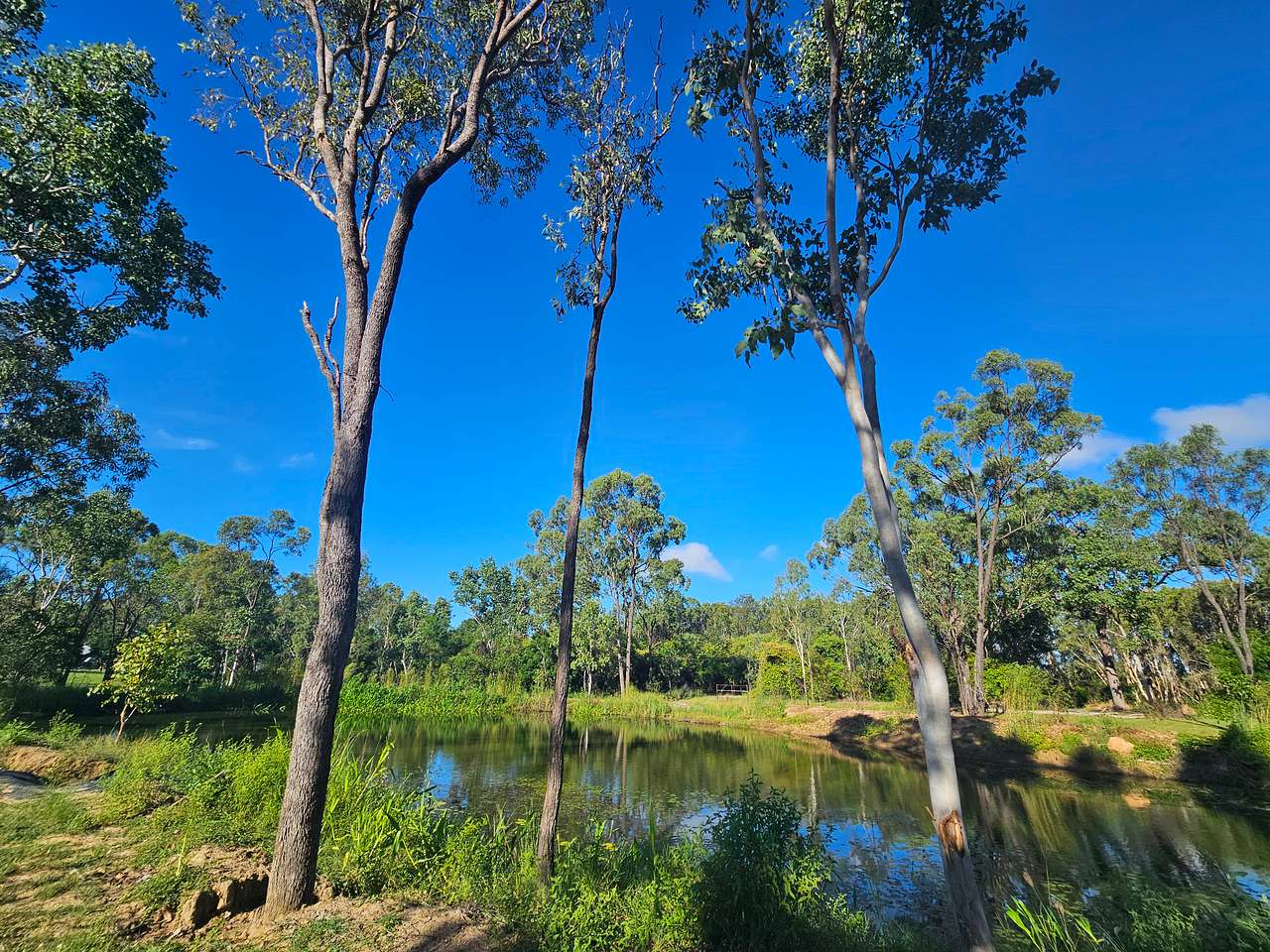 Dam on site to enjoy or watch the wildlife go by