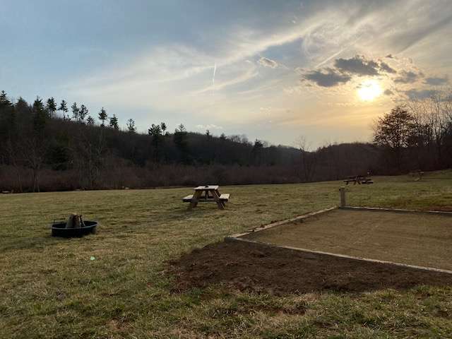 Picture of the site