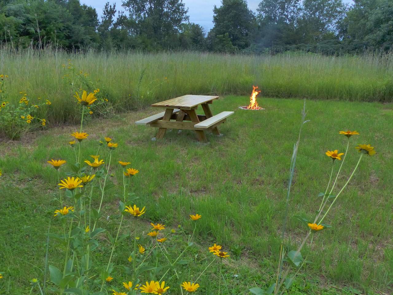 Ramsey Creek Natural Area