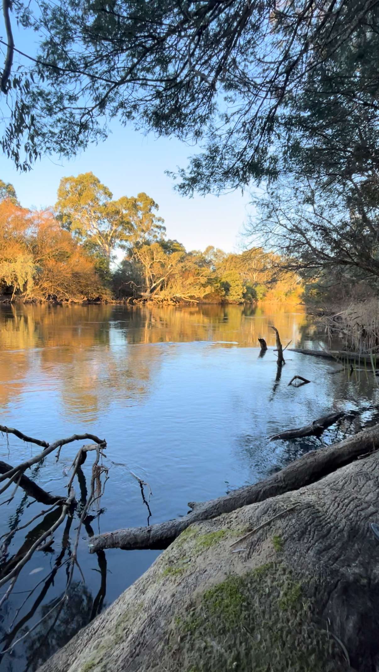 Riverside Goulburn River