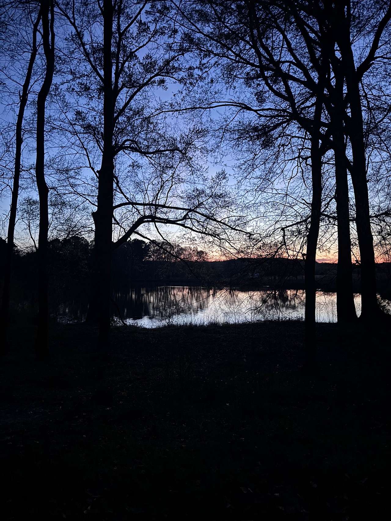 Pondview Acres Campground