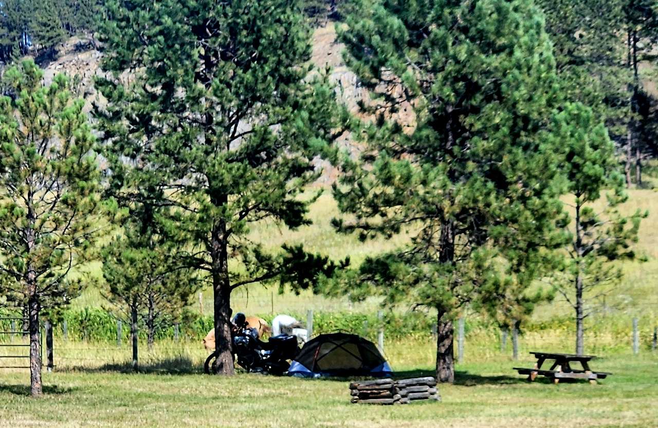 Picture of the site