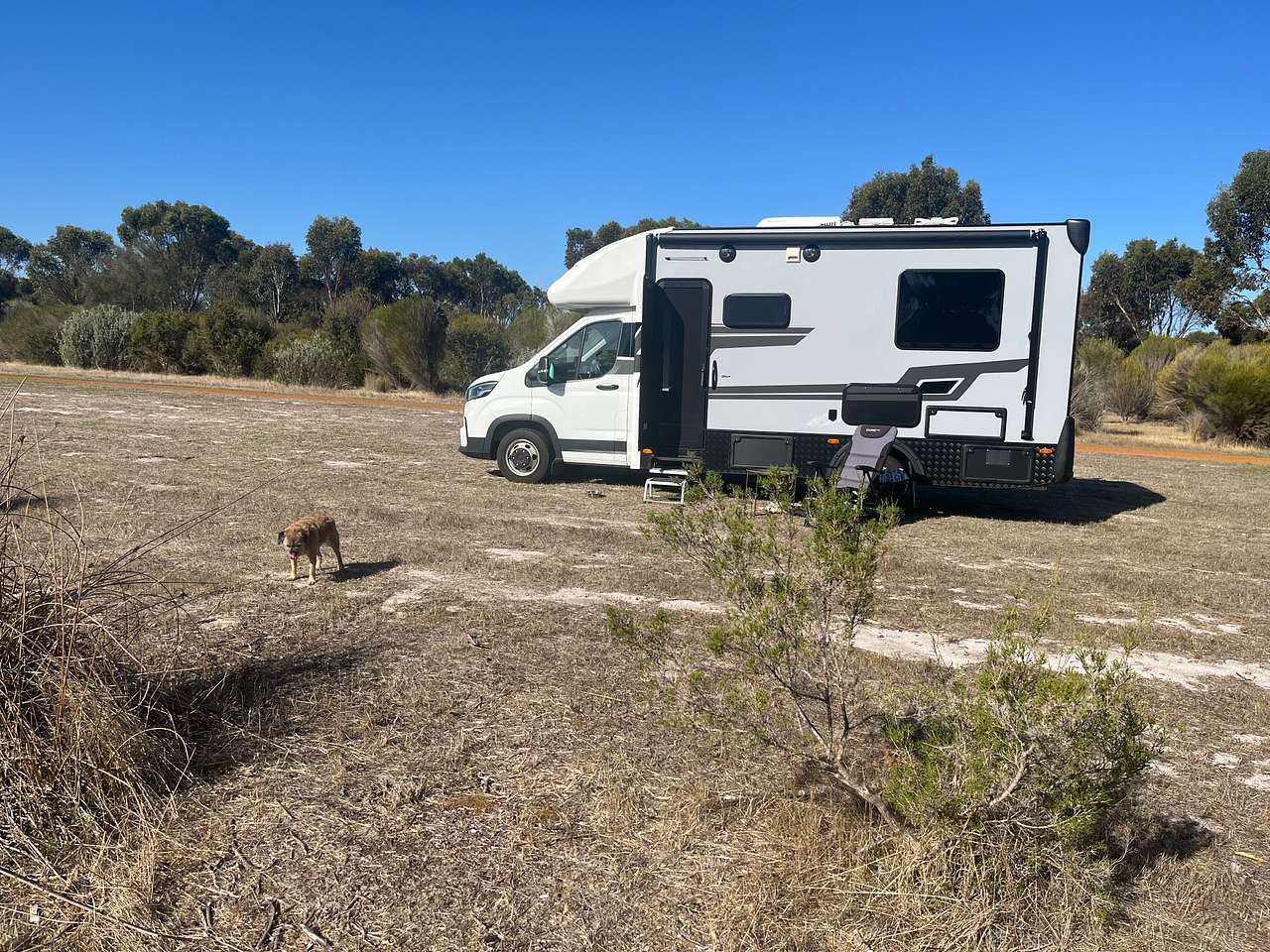 Picture of the site
