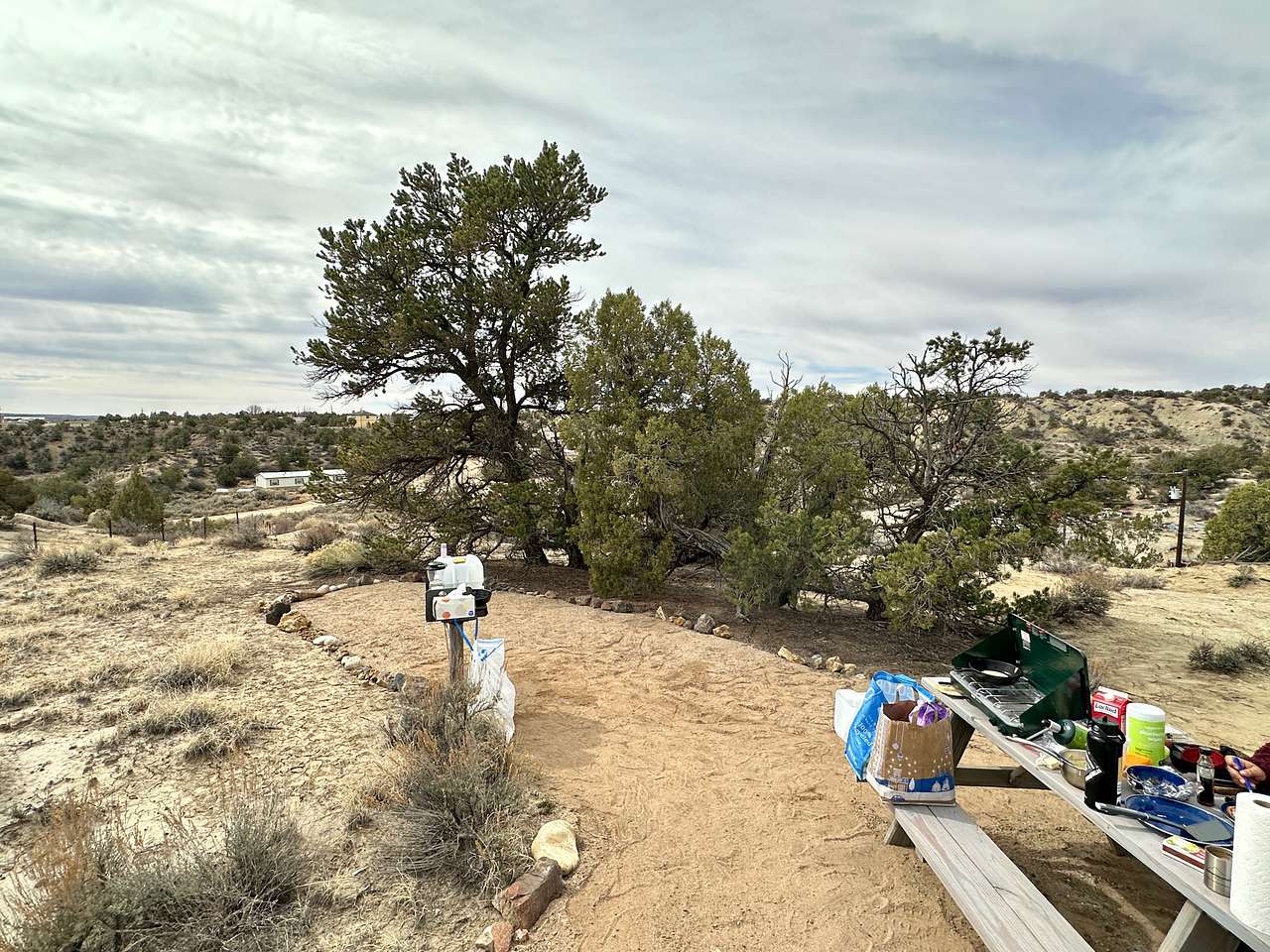 Picture of the site