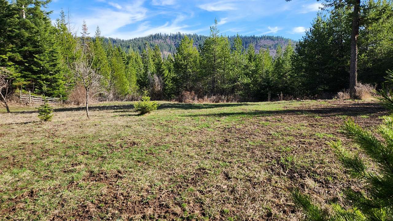 Old garden area for both RV and tent camping.  Lots of room for setup.  Has morning and midday sun with afternoon shade.  
