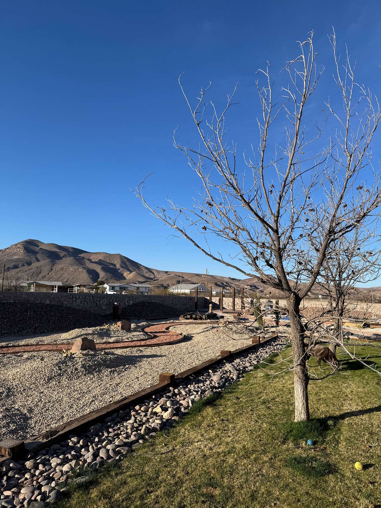 Desert Oasis next to State Park