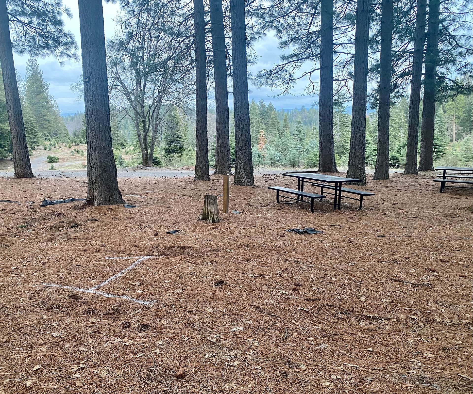 Picture of the site