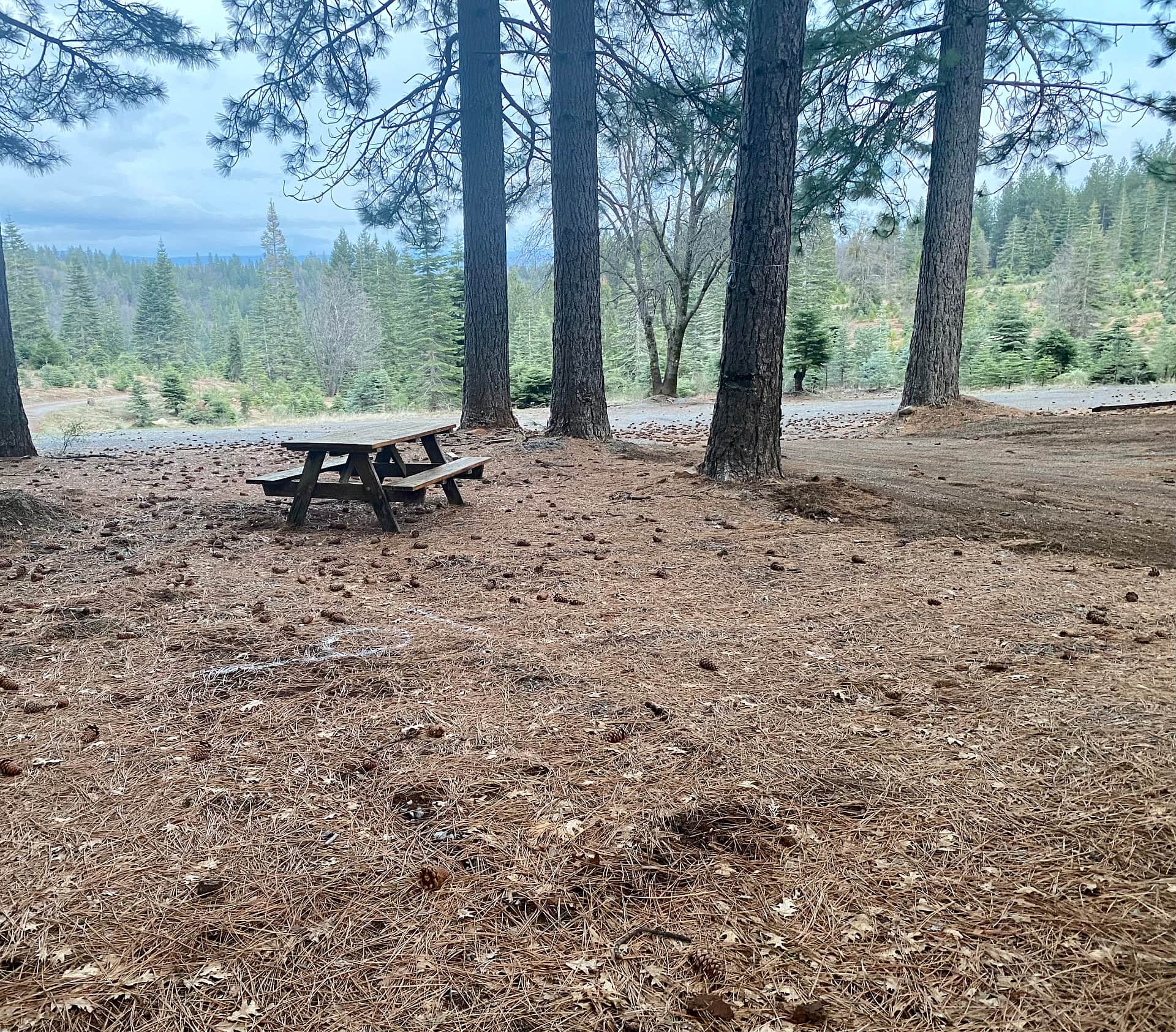 Picture of the site