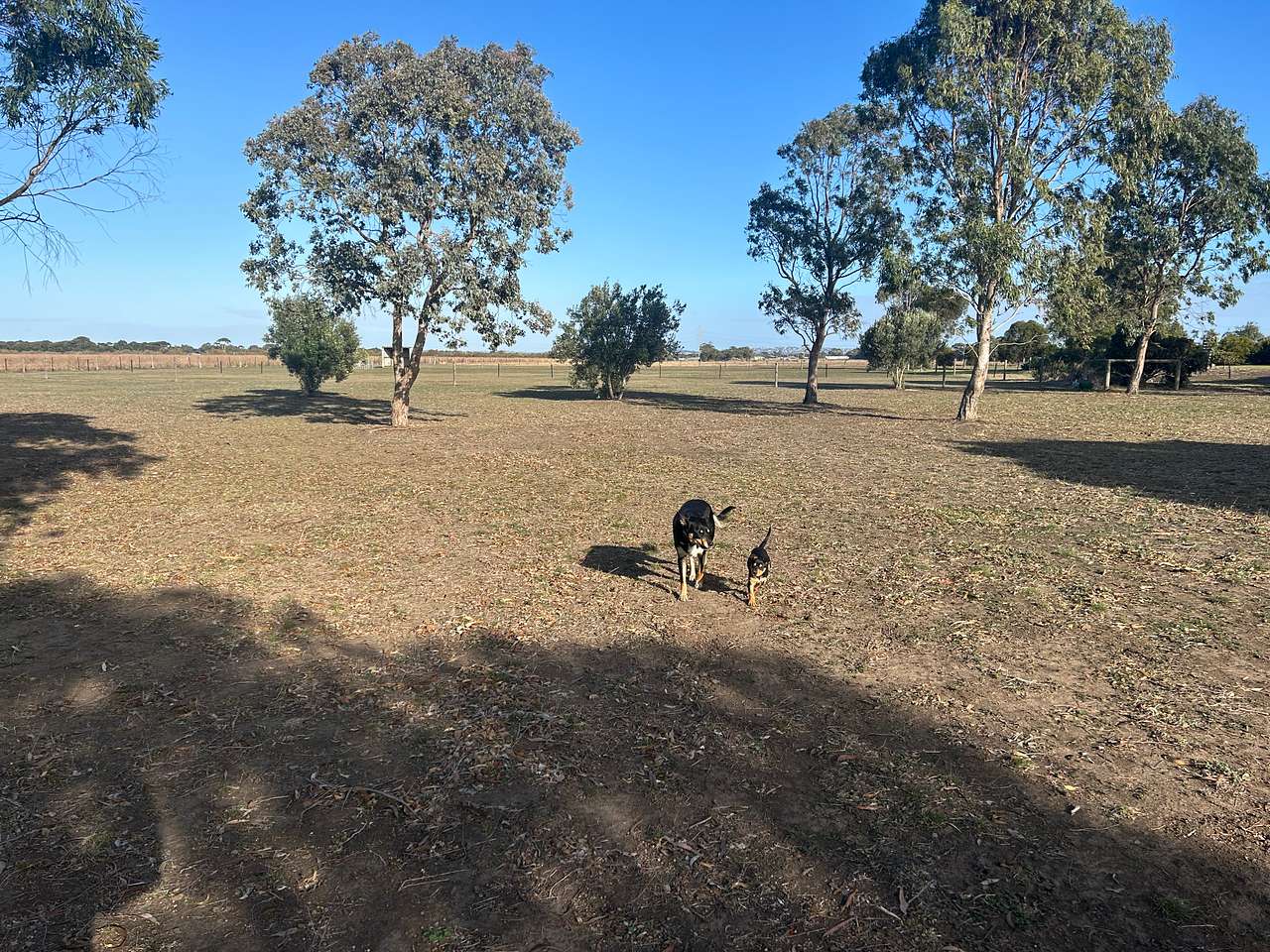 Reedy Lakes Farm Stay