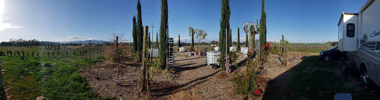 Dos Fernandos' Hideaway RV vineyard