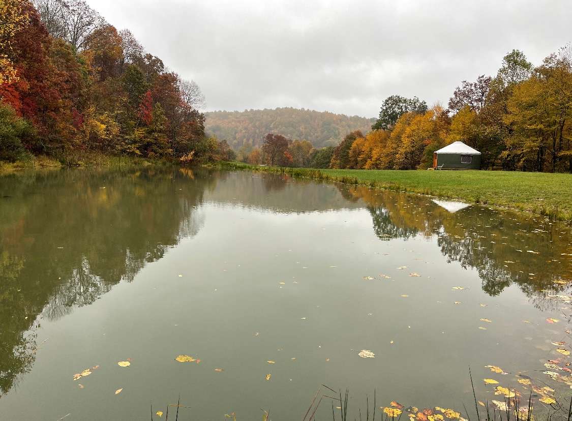 Fall view across the pond.