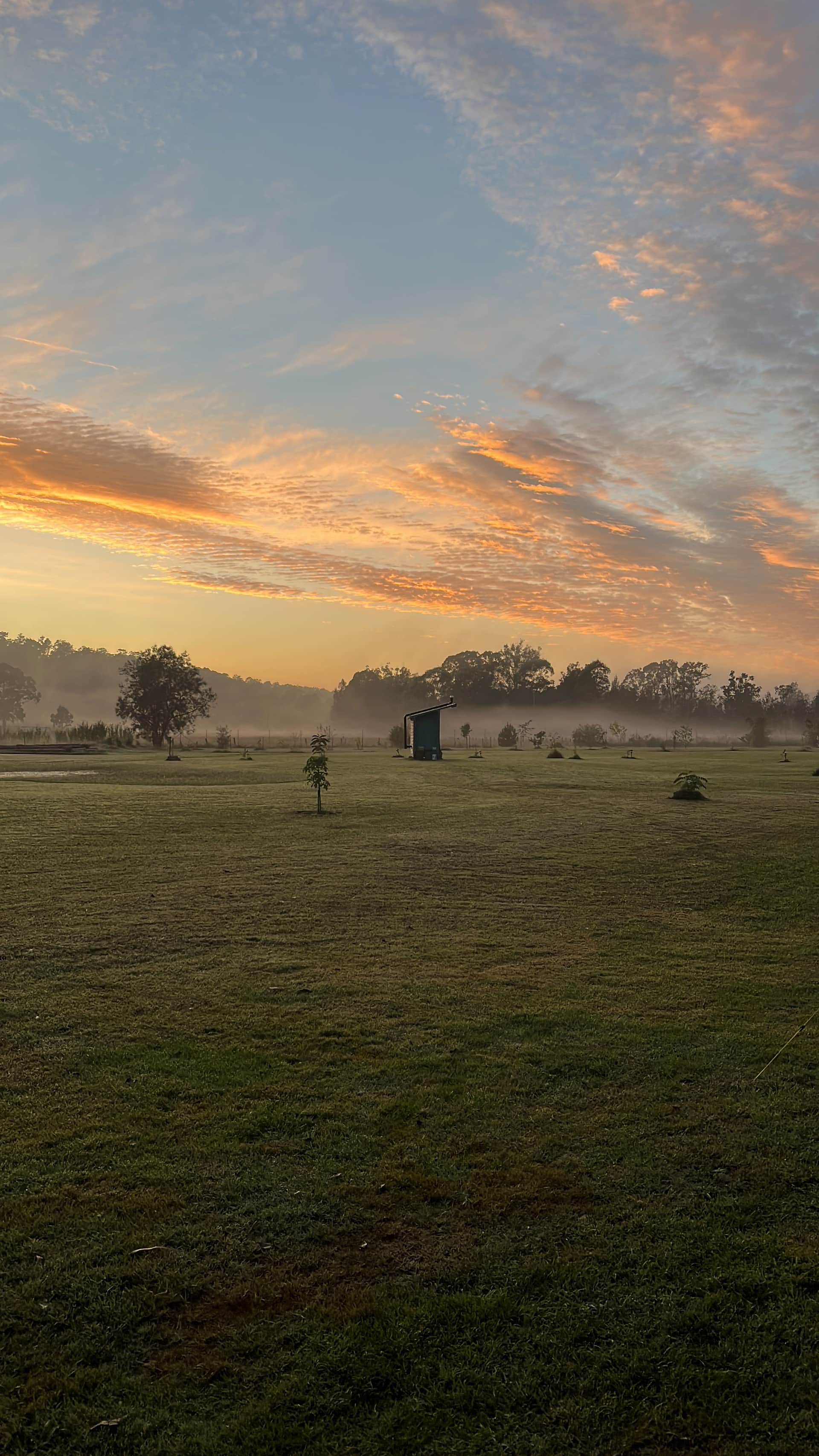 Mogo Creek Homestead - Mogo MTB
