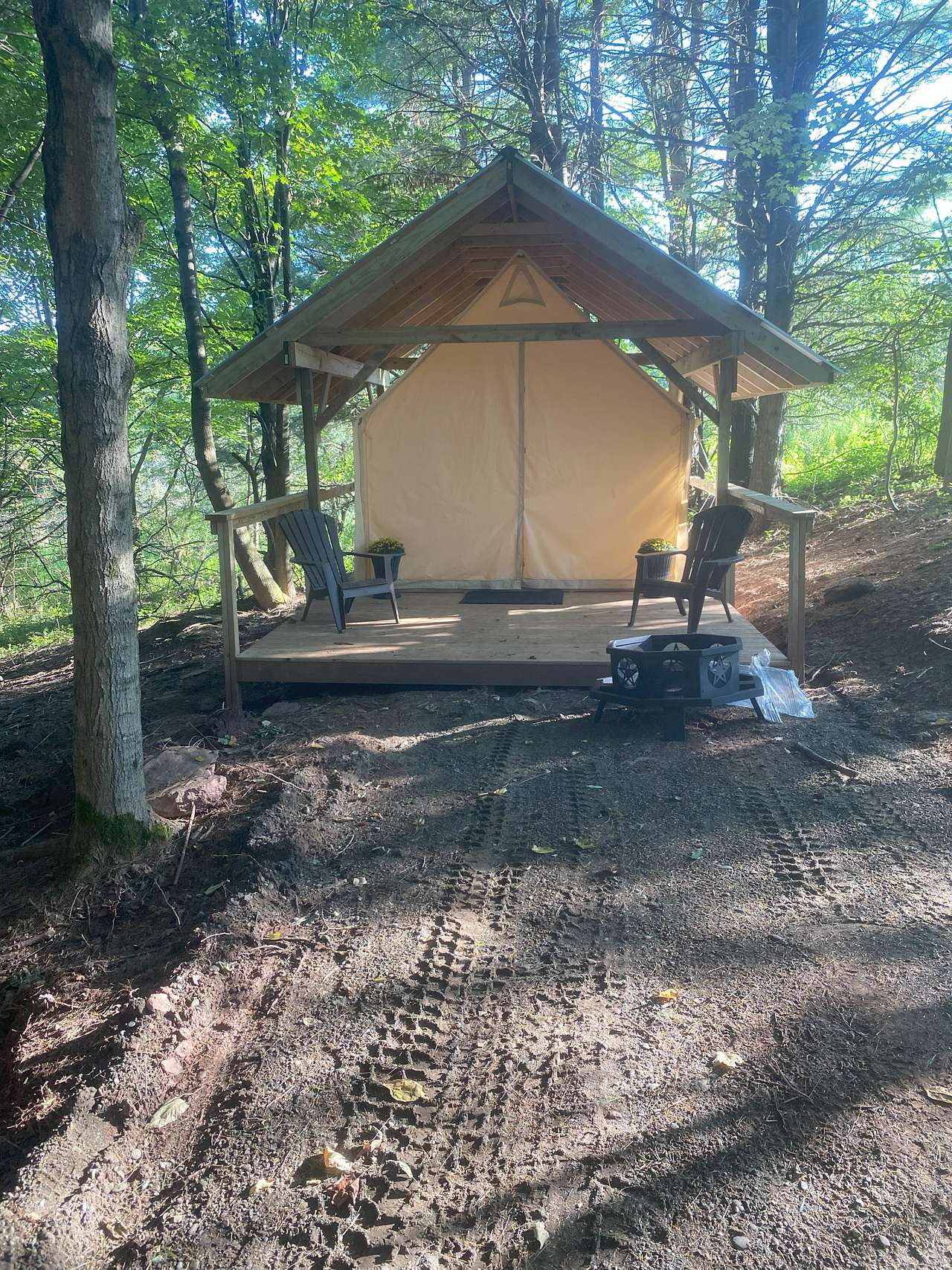 Picture of the site