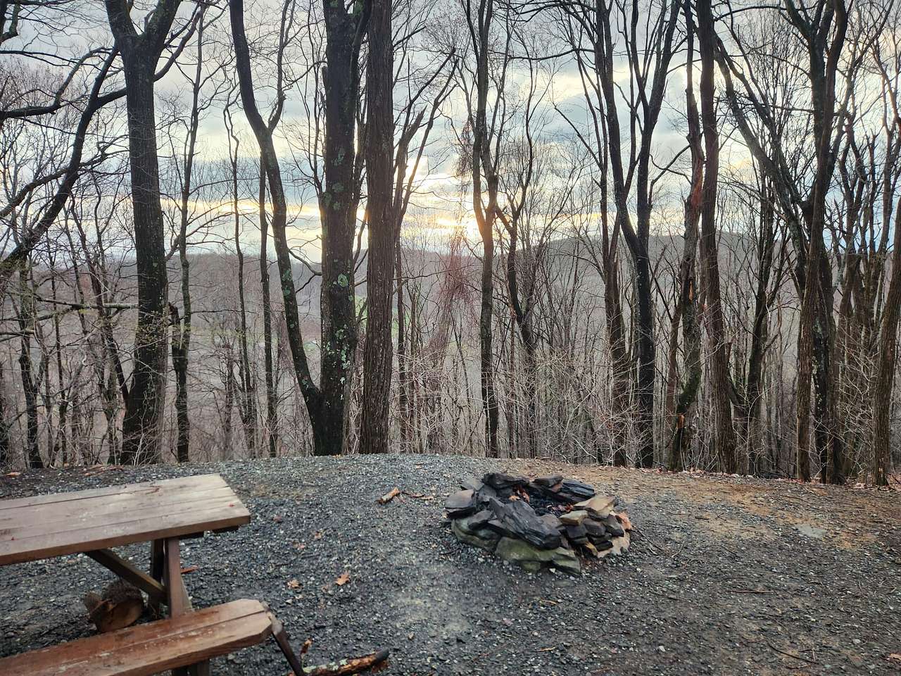 Picture of the site