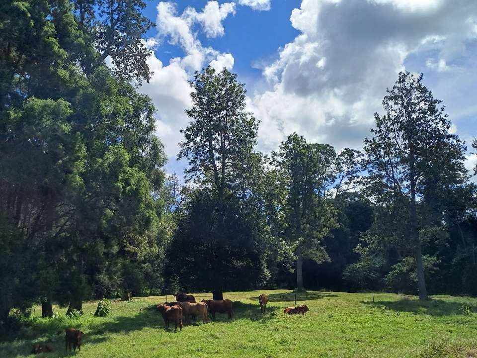Tyungun Country Retreat