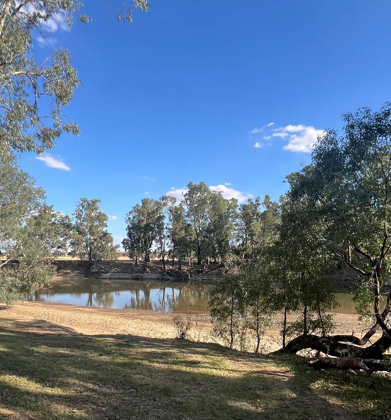 Palm Cove On The Murrumbidgee
