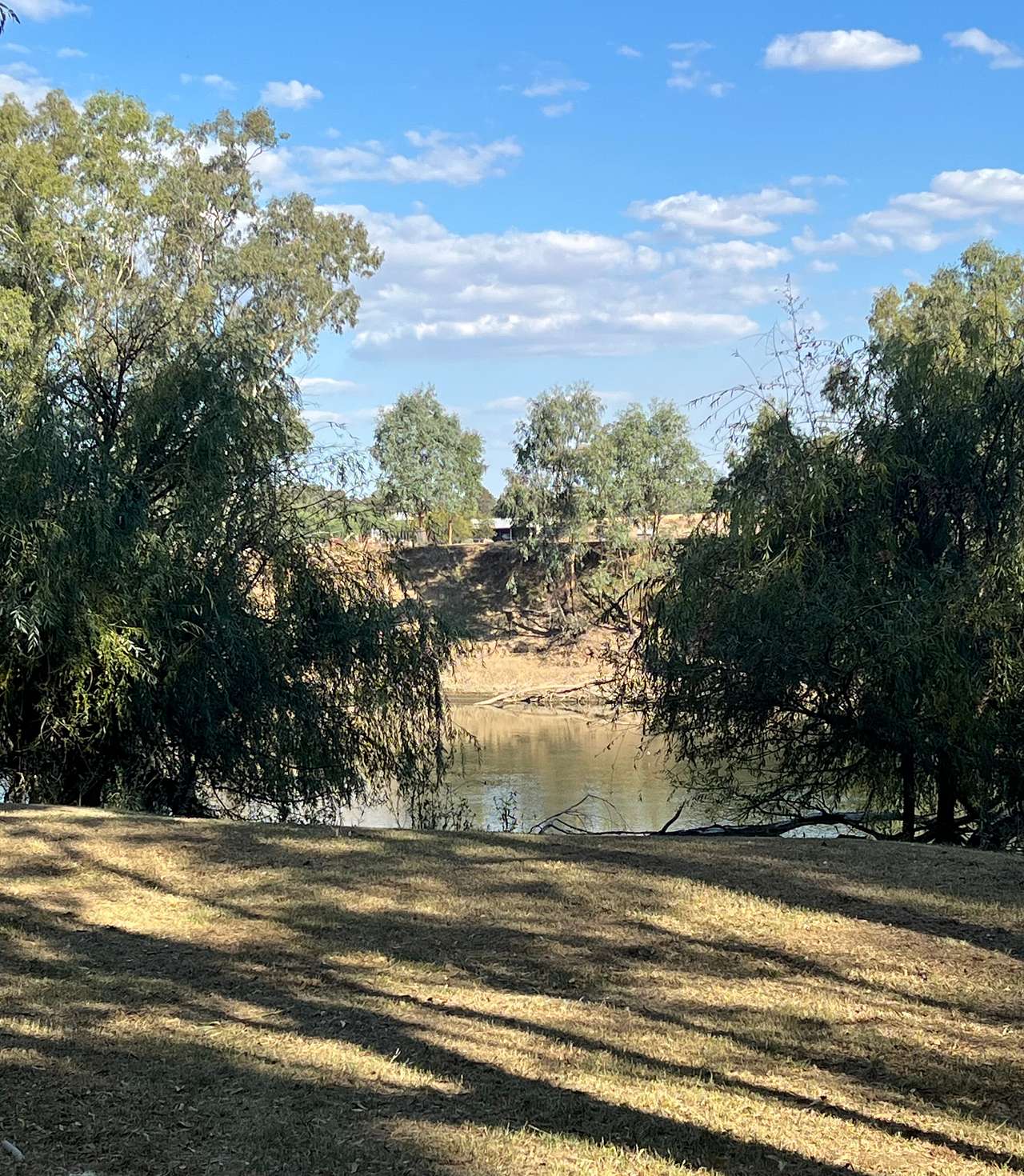 Palm Cove On The Murrumbidgee