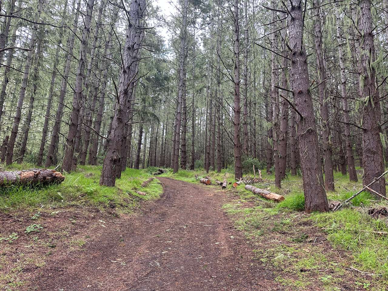 Awesome landscape and trail experience!